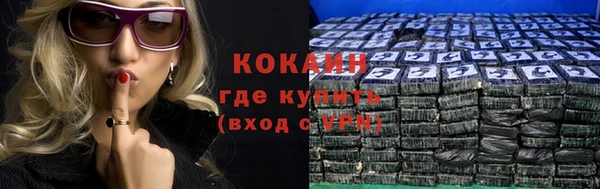 соль ск Абаза