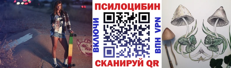 OMG онион  Абдулино  Псилоцибиновые грибы прущие грибы 